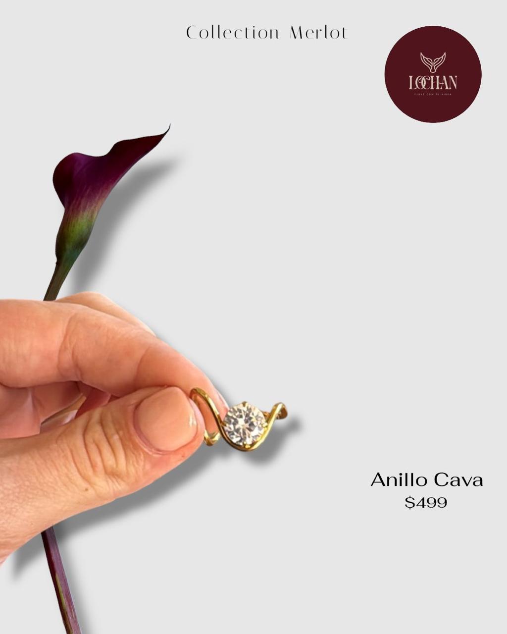 Anillo Cava