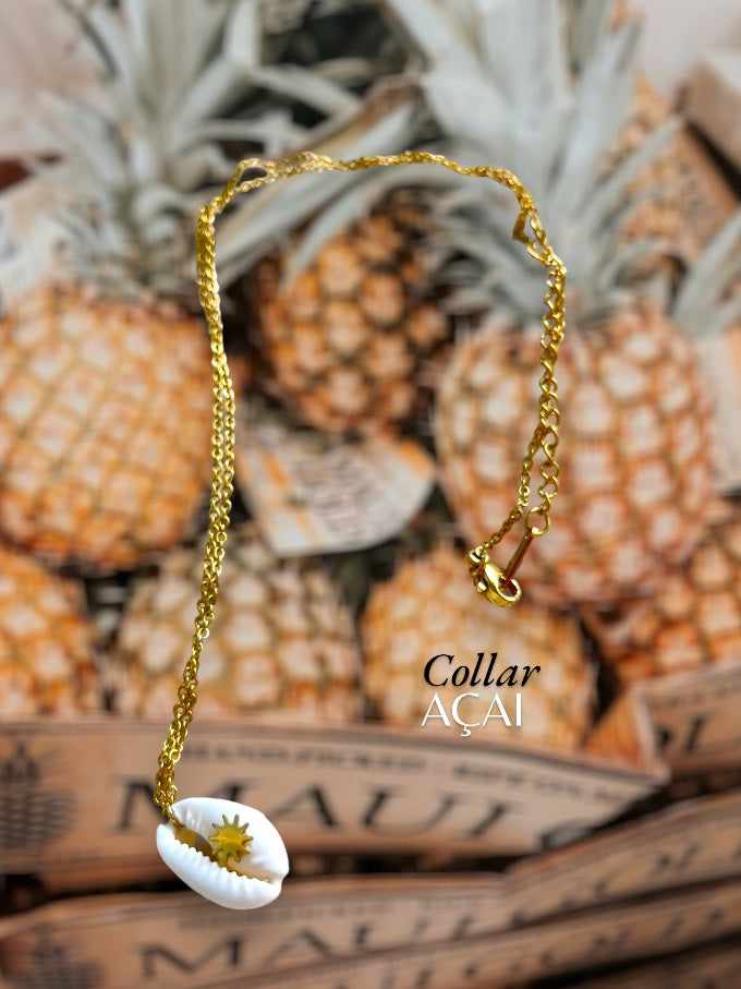 ✨ Collar AÇAÍ