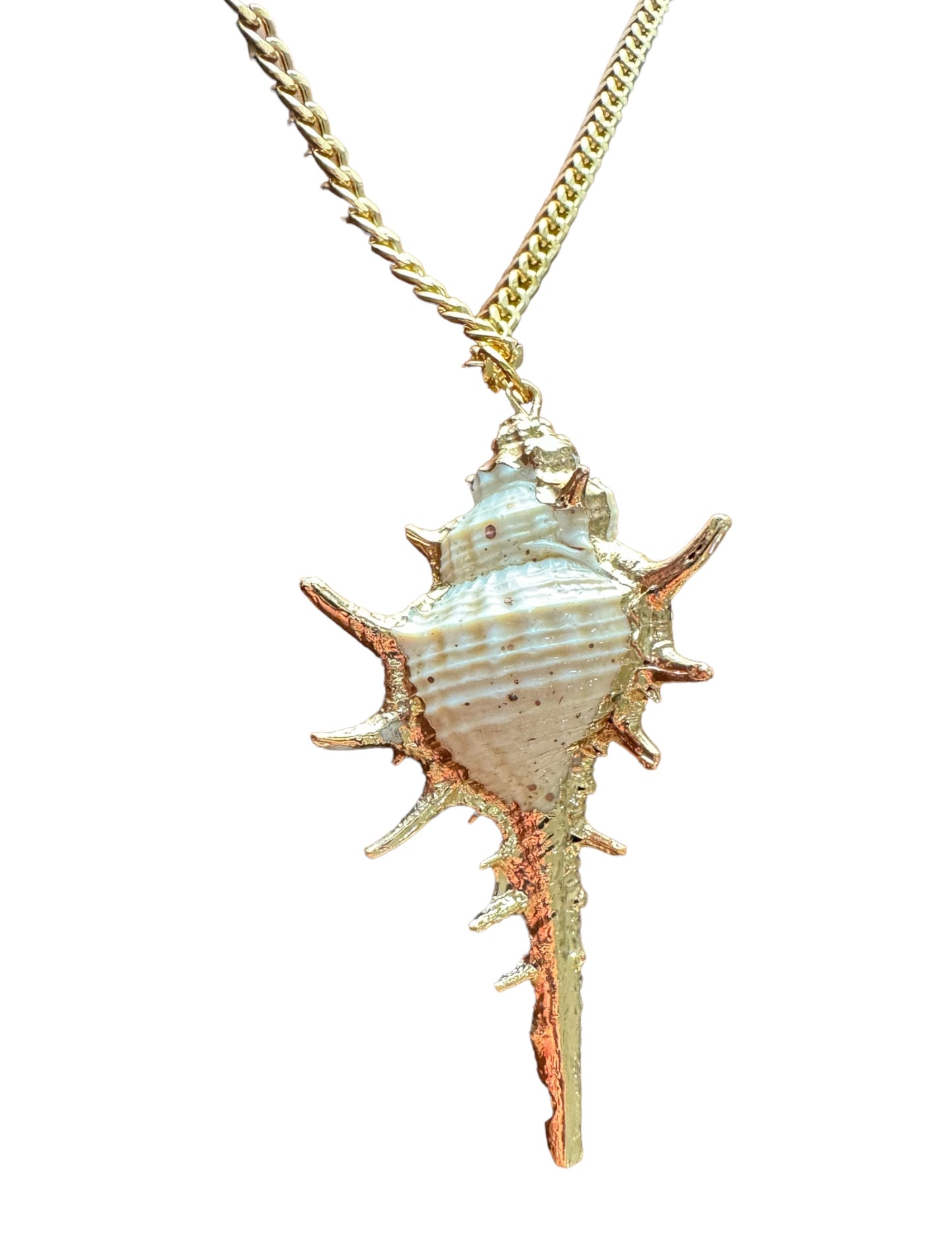 ✨Collar Golden Sea