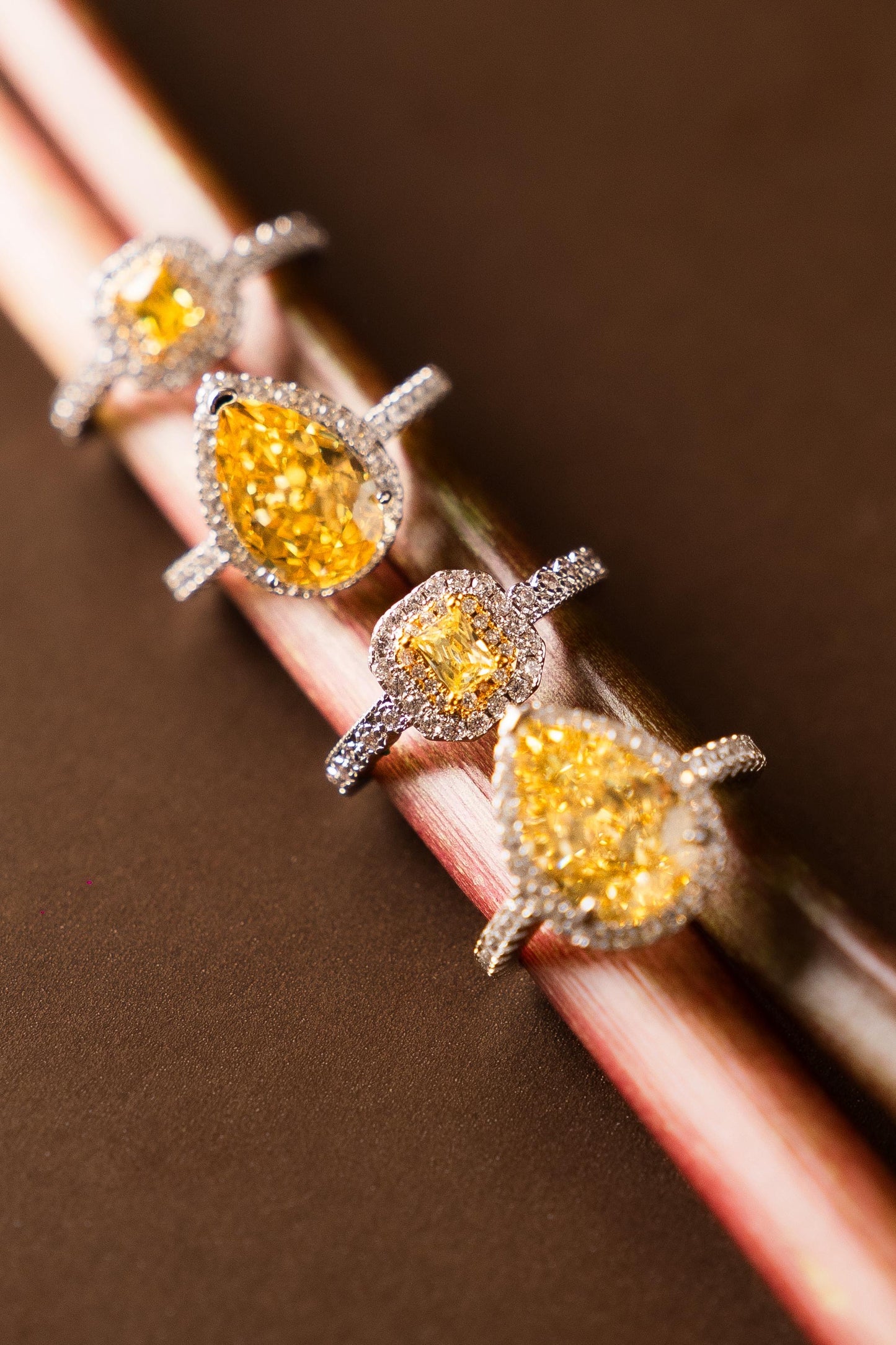 Anillo Champagne