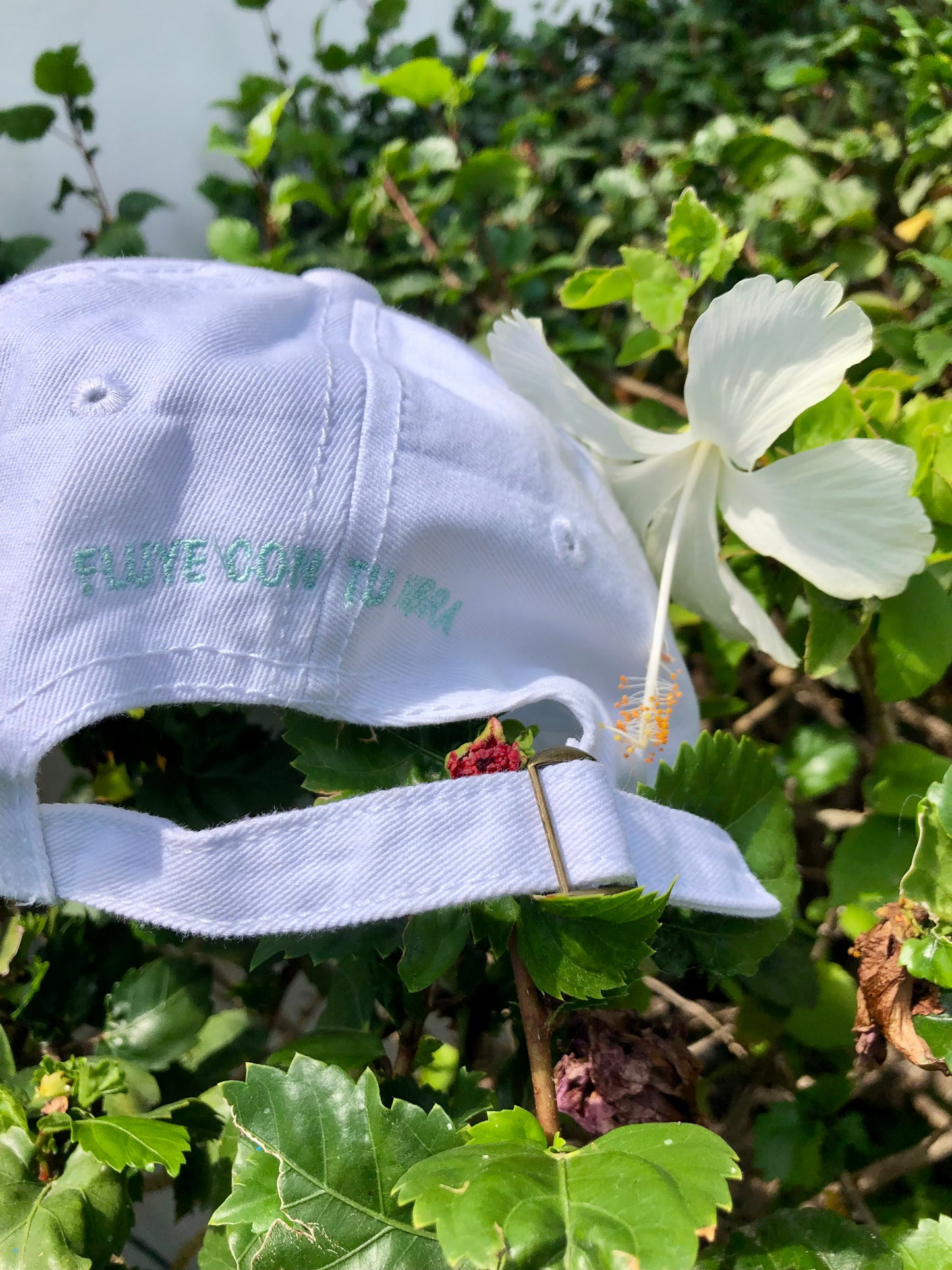 ✨ Gorra La Mer
