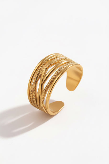Anillo Sal