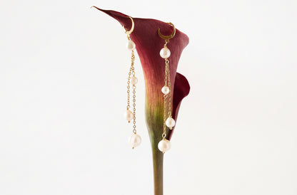Aretes Carmesí
